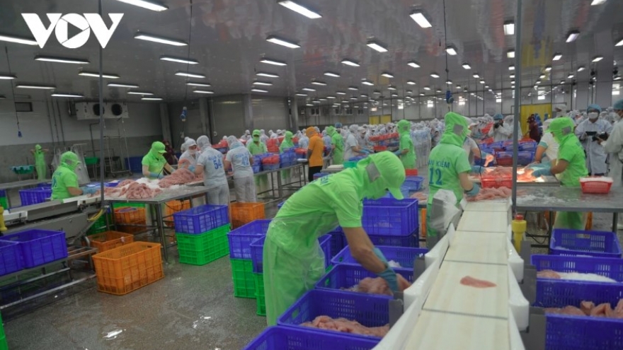 Vietnamese Tra fish exports: Could the US overtake China?